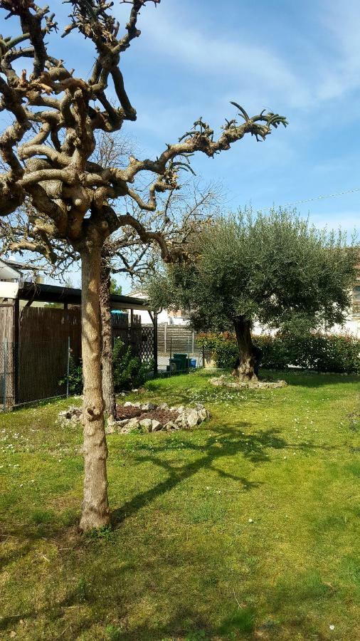 Villa Bracci Molinaccio Exterior foto